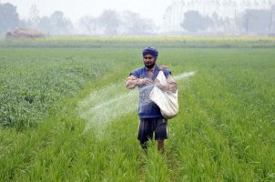 অধিক ফসল উৎপাদনে মাটির স্বাস্থ্য ও ফসল ব্যবস্থাপনা