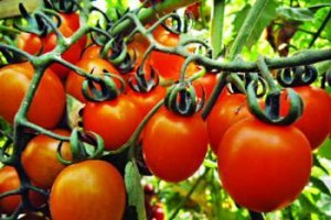 জেনে রাখুন শীতকালীন সবজির গুনাগুন ও তার উপকারিতা