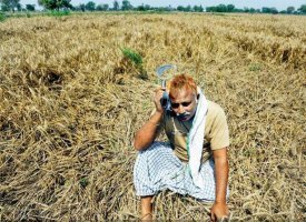 খাদ্য নিরাপত্তার স্বার্থেই শস্যবীমা চালু করা প্রয়োজন