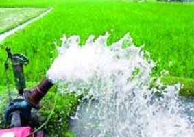 বোরো চাষে উৎপাদন খরচ কমছে বলে খুশি  রংপুর অঞ্চলের চাষীরা