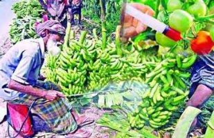 খামারবাড়িতে ‘নিরাপদ খাদ্য সম্মেলন-২০১৬’ শীর্ষক সেমিনার অনুষ্ঠিত