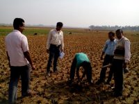 ফসল উৎপাদনে মাটি পরীক্ষার প্রয়োজনীয়তা ও করনীয়