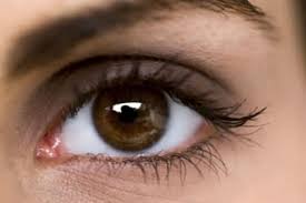 অতি গুরুত্বপূর্ণ চোখের যত্নে খেতে হবে যেসব খাবার দাবার