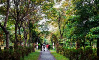 বাংলাদেশ কৃষি বিশ্ববিদ্যালয় যেন প্রকৃতির অপরুপ মায়ায় ঘেরা কুঞ্জ