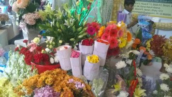 বাংলাদেশ ফ্লাওয়ার ফেস্ট