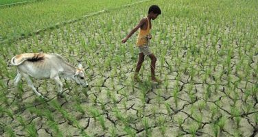 পবিপ্রবির নয়া ভিসি হিসেবে প্রফেসর ড. মোঃ হারুনুর রশিদ নিয়োগ পেয়েছেন