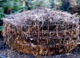 জৈব সার ব্যবহারের আগ্রহ