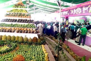 ফলদ বৃক্ষ মেলা ও ফল চাষে নীরব বিপ্লব