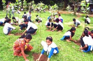 আষাঢ় মাসের প্রথম পক্ষের কৃষি কাজ