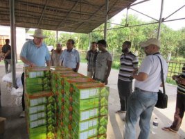 কন্ট্রাক্ট ফার্মিং পদ্ধতিতে আমের উৎপাদন এবং আম রপ্তানির ভবিষৎ