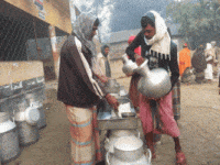 মিল্কভিটার জুয়াচুড়িঃ প্রতারিত হচ্ছেন সিরাজগঞ্জের দুগ্ধ খামারীরা