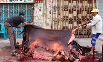 চামড়ার বাজারে অস্থিরতাঃ মৌসুমি ব্যবসায়ীদের মাথায় হাত