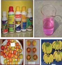 ফল পাকানোর জন্য গ্রহণযোগ্য রাসায়নিক দ্রব্যের মাত্রা