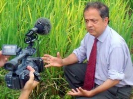 ডায়াবেটিস রাইস