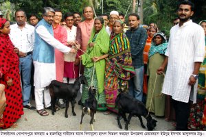 গোপালপুরে অসহায় ও হতদরিদ্র নারীদের মাঝে বিনামূল্যে ছাগল বিতরণ