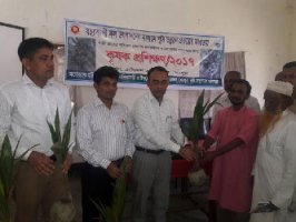 শেরপুরের নকলায় ভিয়েতনামী নারিকেল চারা বিতরণ ও কৃষক প্রশিক্ষণ অনুষ্ঠিত