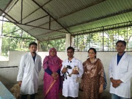 ভেড়ার হিমায়িত ভ্রুণ বাচ্চা