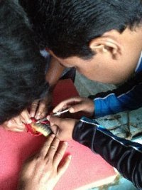 বাকৃবি গবেষকের দেশি কৈ মাছের পোনা উৎপাদনে সফলতা লাভ