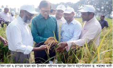 ‘বিনা’র প্রযুক্তি বাংলাদেশের কৃষি উন্নয়নে বৈপ্লবিক পরিবর্তন ঘটিয়েছে