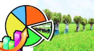 অবহেলিত কৃষি ও কৃষক