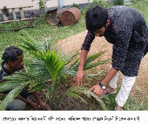 ভিয়েতনামে উদ্ভাবিত ওপি জাতের নারিকেলে আশার আলো দেখছে চাষীরা