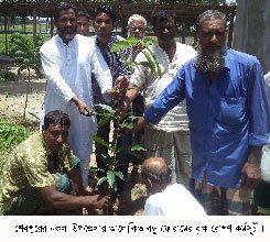 নকলায় আলোকিত বন্ধু ফোরামের বৃক্ষরোপন অনুষ্ঠিত