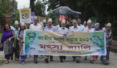 বাংলাদেশ কৃষি বিশ্ববিদ্যালয়ে জাতীয় মৎস্য সপ্তাহ পালিত