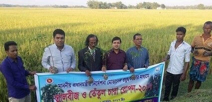 নকলায় তালবীজ ও তেঁতুল চারা রোপন ও বিনা-১১ ধানের মাঠদিবস অনুষ্ঠিত