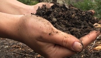 জেনে নিন আপনার ফসলের জমিতে জৈব সার কেন ব্যবহার করবেন ?