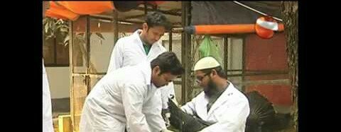 দেশের প্রথমবারের মত টার্কি মুরগির কৃত্রিম প্রজনন কৌশল উদ্ভাবন