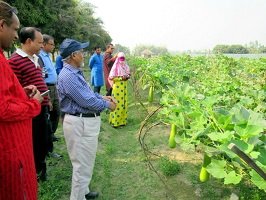 হাবিপ্রবি ভিসি’র মেটাল এগ্রো লিঃ এর কার্যক্রম পরিদর্শন