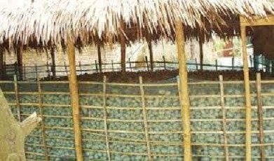 আলু সংরক্ষণই এনে দিতে পারে কৃষকের হাসি