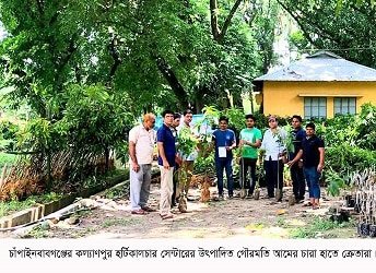 হর্টিকালচার সেন্টারে উৎপাদিত গৌরমতি আম চারার কদর বেড়েছে