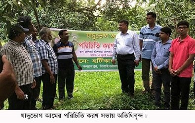 যাদুভোগ আমের যাদুতে লাখপতি ভোলাহাটের আমচাষী আব্দুস সালাম