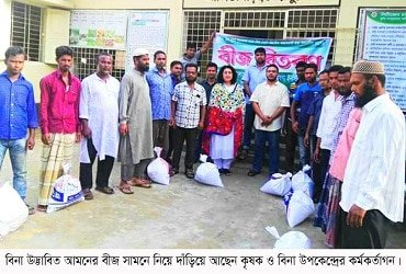 আমন আবাদে জনপ্রিয় হয়ে উঠেছে বিনা’র উদ্ভাবিত ধান