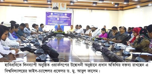 হাবিপ্রবি’তে গুড গর্ভনেন্স বিষয়ক দিনব্যাপী ওয়ার্কশপ অনুষ্ঠিত