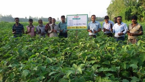 গাবতলীতে লাল তীর কোম্পানীর সবজী প্রদর্শনী মাঠ দিবস পালিত