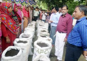 কেঁচো সার উৎপাদন