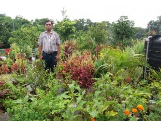 সিরাজগঞ্জ সদর কৃষি অফিসের ছাদে সবুজের সমারোহ