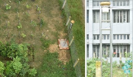 সিলেট কৃষি বিশ্ববিদ্যালয়ে স্বয়ংক্রিয় কৃষি-আবহাওয়া স্টেশন স্থাপিত