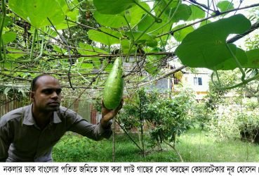 পরিত্যক্ত স্থানে ফল ও শাকসবজি চাষ