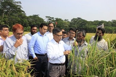 দক্ষিণাঞ্চলে ভুট্টার আবাদ বাড়ানোর পাশাপাশি চাই নিরাপদ সবজি উৎপাদন -কৃষি সচিব