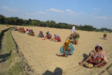 নকলায় কৃষিতে নারীর অংশ গ্রহন বাড়লেও, তারা বেতনসহ বিভিন্ন বৈষম্যের স্বীকার