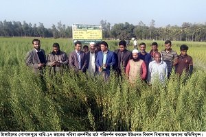 গোপালপুরে কৃষি সম্প্রসারণ অধিদফতরের সরিষা প্রদর্শনীর মাঠ দিবস অনুষ্ঠিত