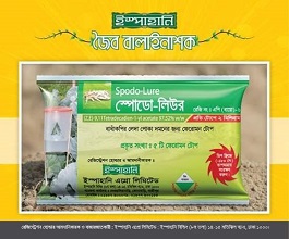 ফসলের ক্ষতিকর পোকা ‘কাটওয়ার্ম’ : বিষ মুক্ত ফসল উৎপাদনে জৈব ব্যবস্থাপনা