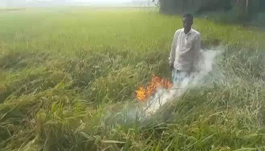 কৃষকের অধিকার আমাদের দেশের অধিকার