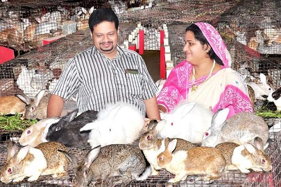 পারিবারিক পর্যায়ে লাভজনক খরগোশ পালন