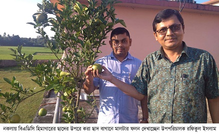 নকলায় বিএডিসি ভবনের ছাদে বিদেশী ফলের সমাহার