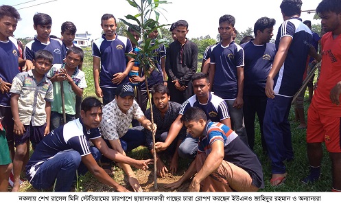 গাছের চারা রোপণ