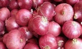 পেঁয়াজের দাম বৃদ্ধি -সমাধান কোথায়, আমরা কেন স্বয়ং সম্পূর্ণ হতে পারছি না ?